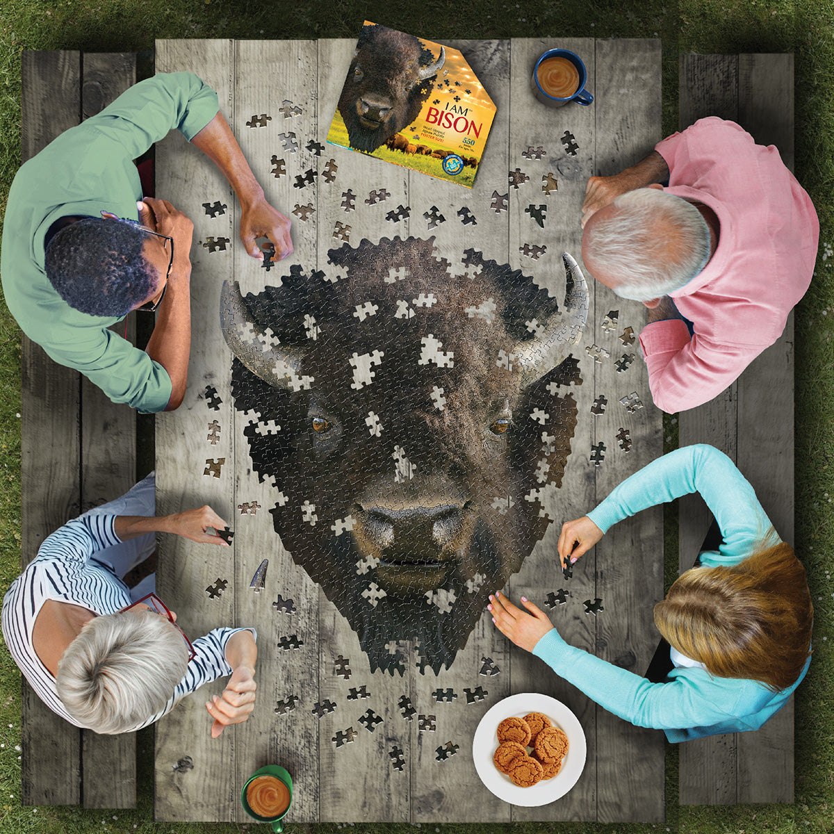 I AM BISON 550 – Madd Capp Games