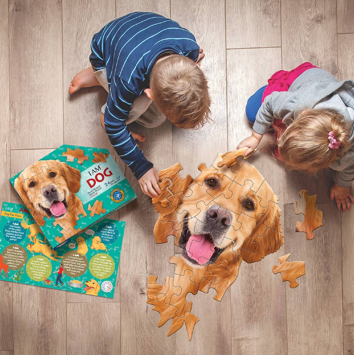 cat the best dog for me I AM DOG 24 – Madd Capp Games