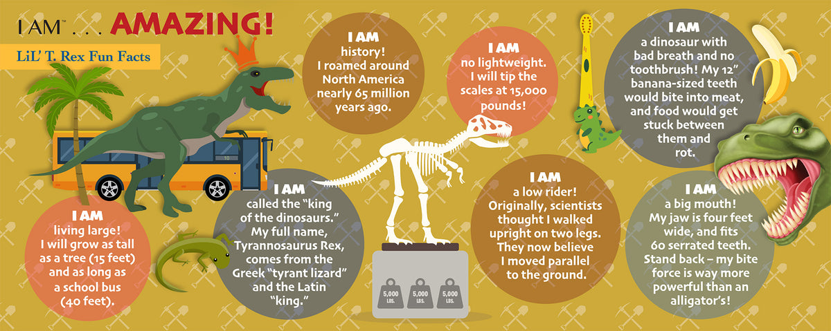 4801-48T-RexFunFacts_1200x1200