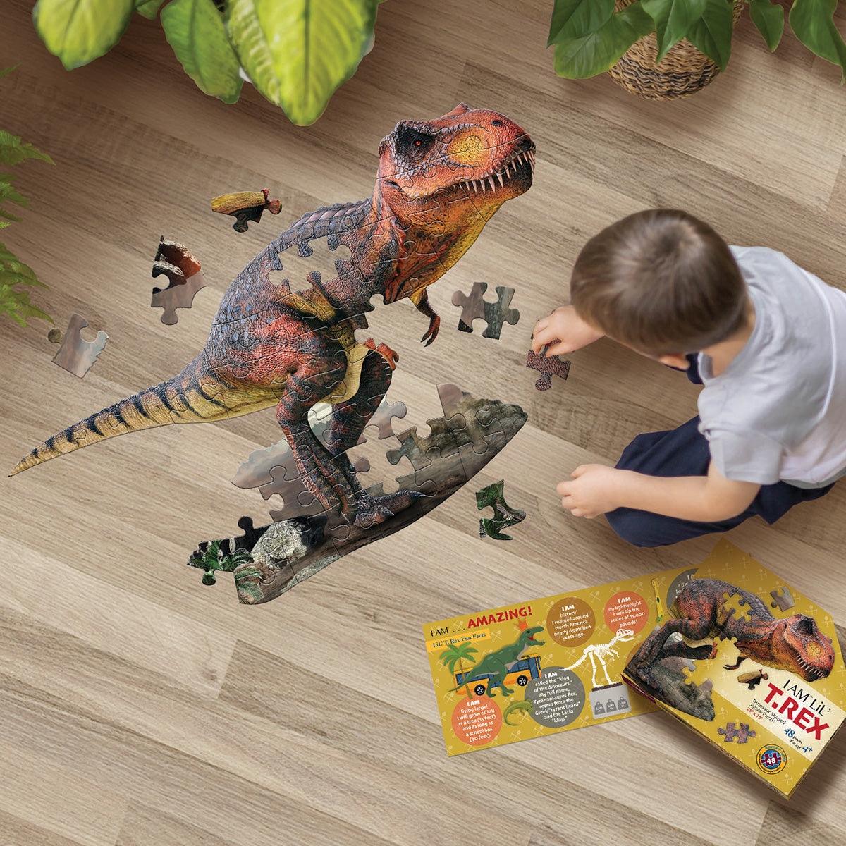 I AM LiL' T. REX 48 – Madd Capp Games