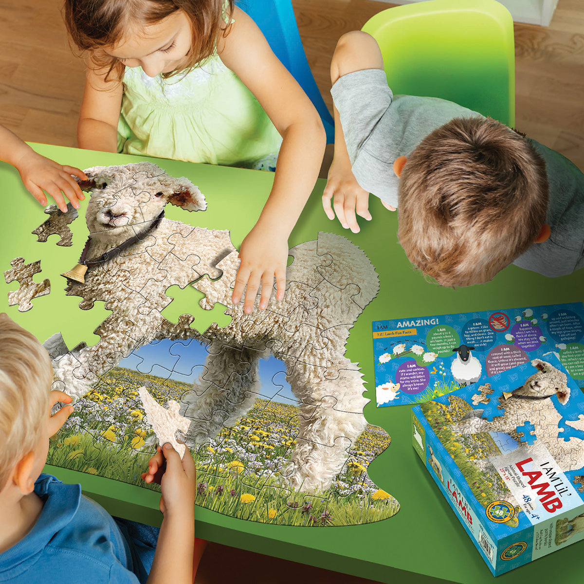 I AM LiL' LAMB 48 – Madd Capp Games