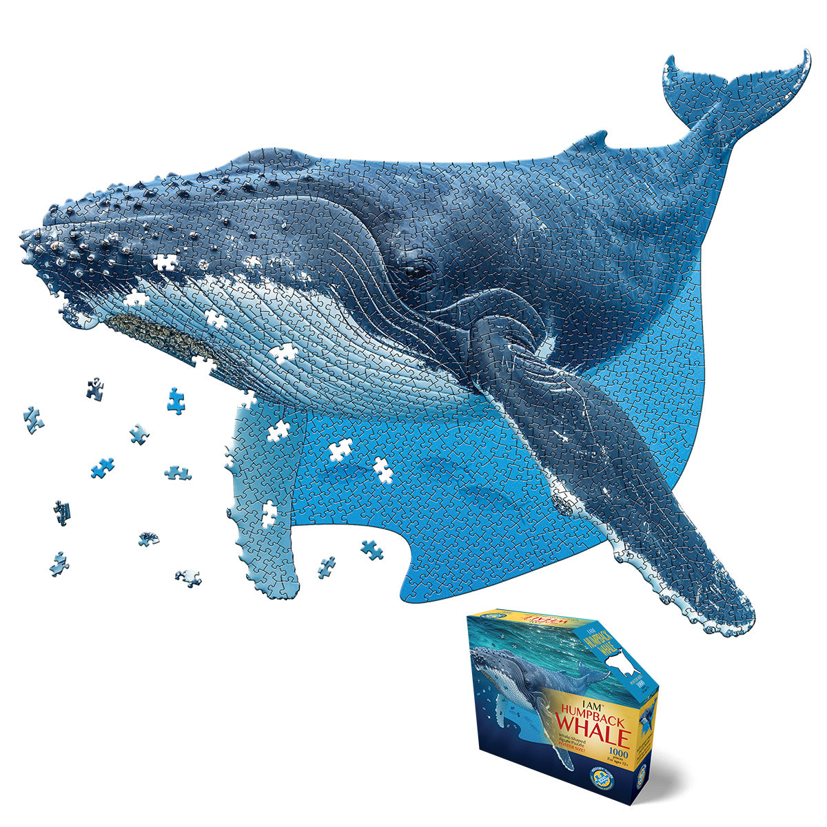 whale mind様 I AM HUMPBACK WHALE 1000 – Madd Capp Games