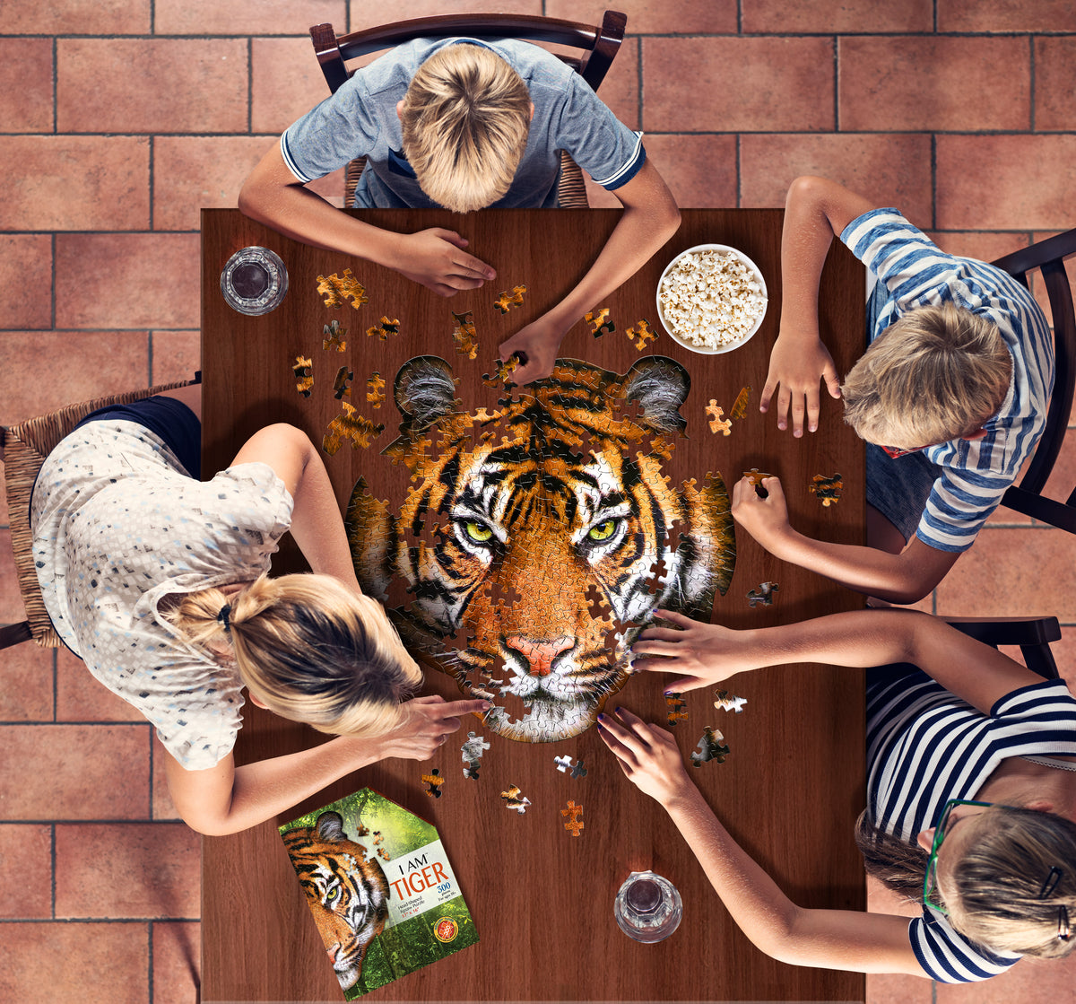 I AM TIGER 300 – Madd Capp Games
