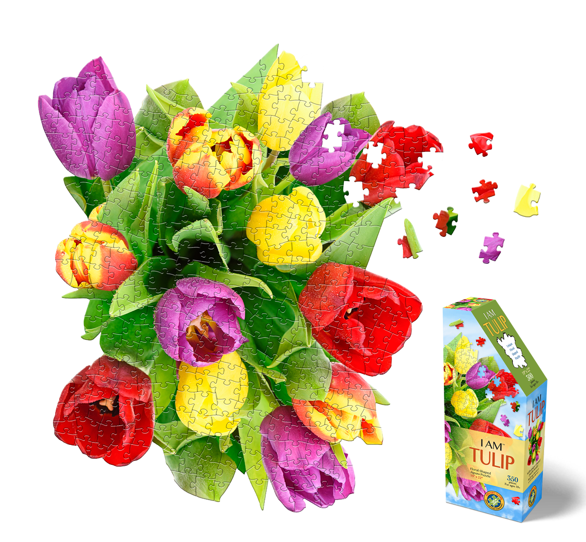 350TulipsCatalogImage_1200x120