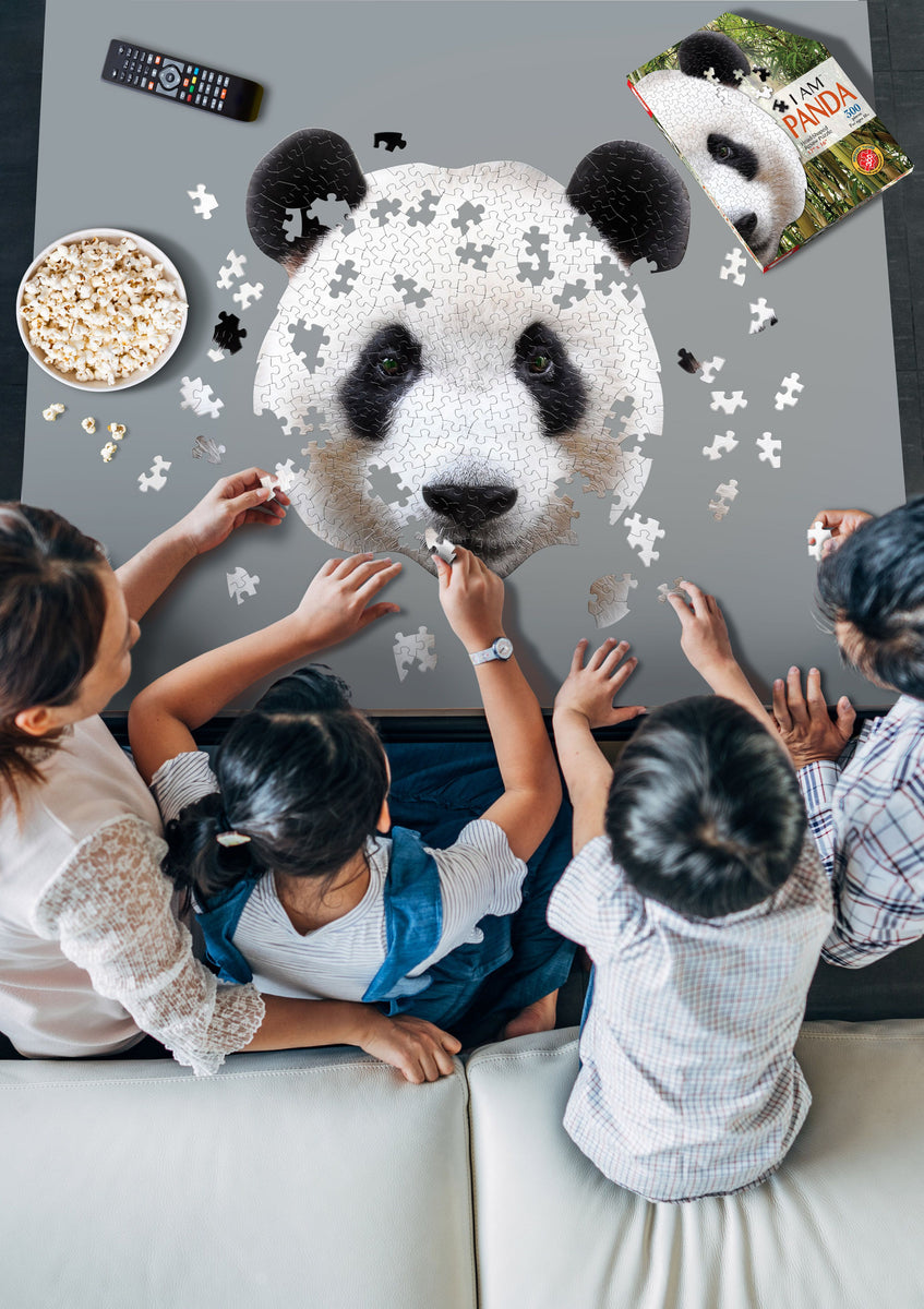 p_48065b5e-eb88-4f67-8ae2-