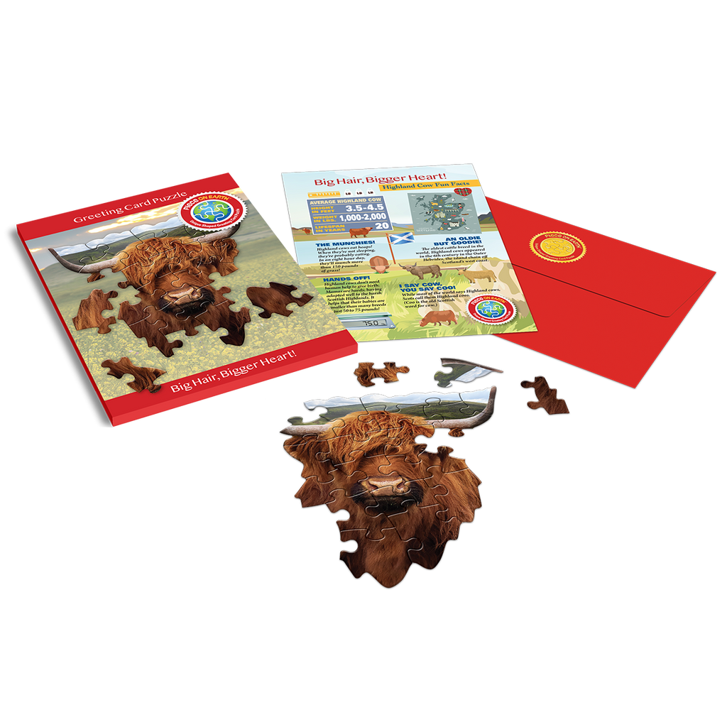 HIGHLAND COW GREETING CARD PUZZLE