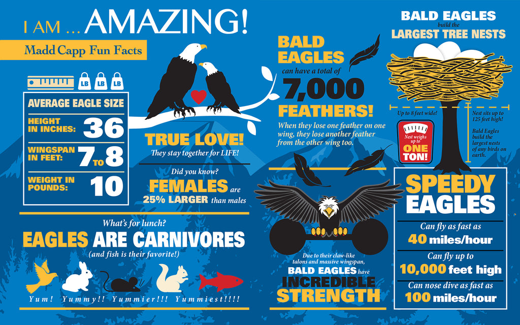 I AM EAGLE 550 – Madd Capp Games