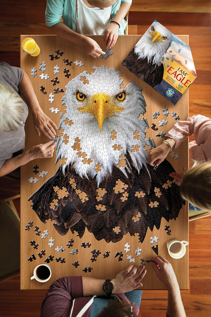 I AM EAGLE 550 – Madd Capp Games