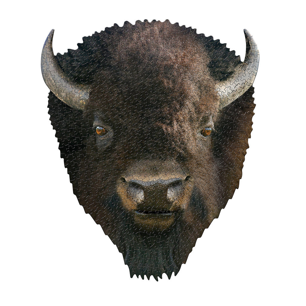 I AM BISON 550 – Madd Capp Games