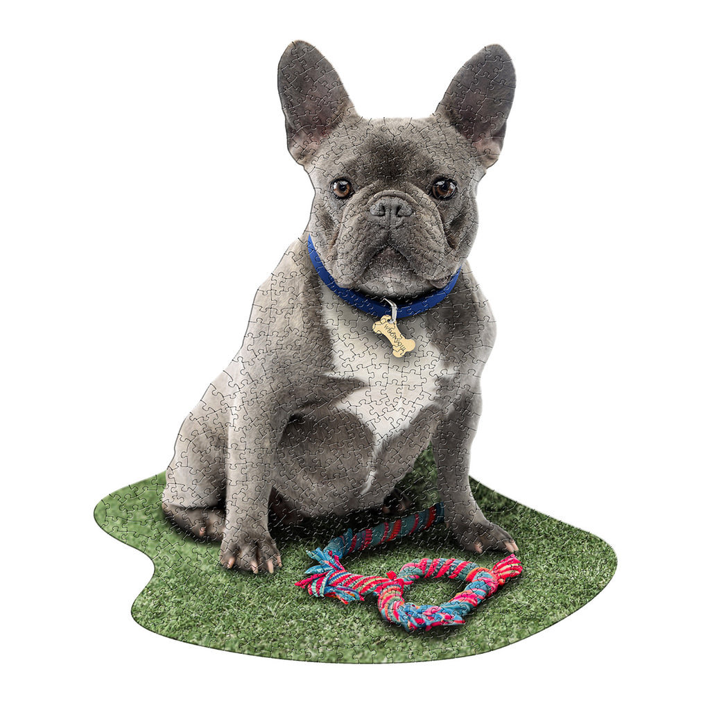 I AM FRENCHIE 550 – Madd Capp Games