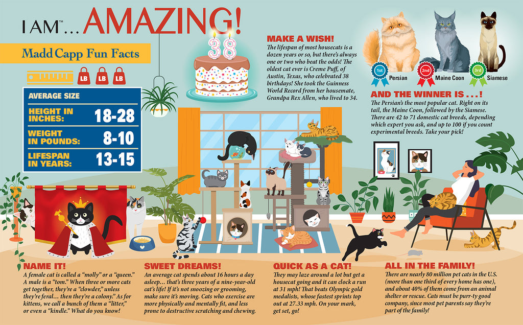 I AM CAT 550 – Madd Capp Games