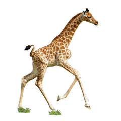 I AM LiL' GIRAFFE 100 – Madd Capp Games