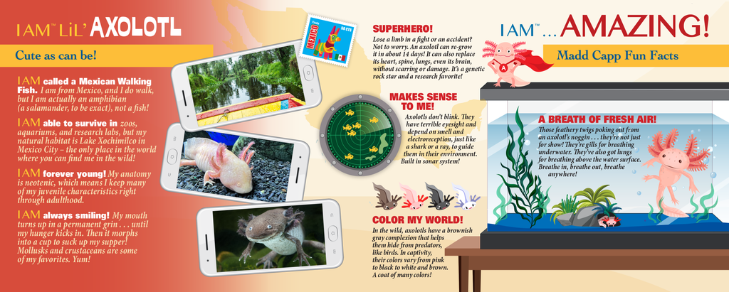 I AM LiL' AXOLOTL 100 – Madd Capp Games