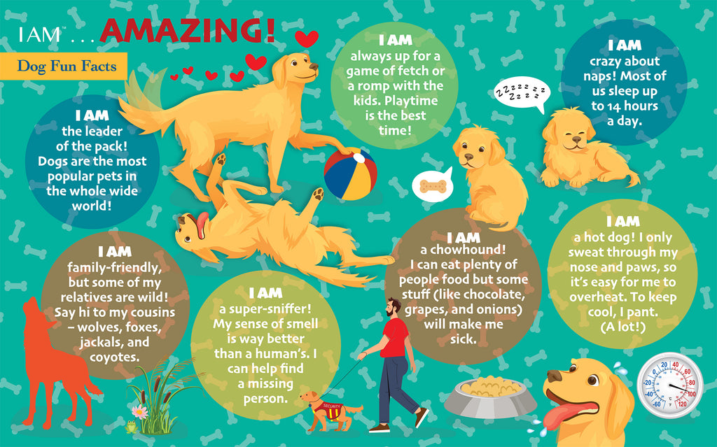 I AM DOG 24 – Madd Capp Games