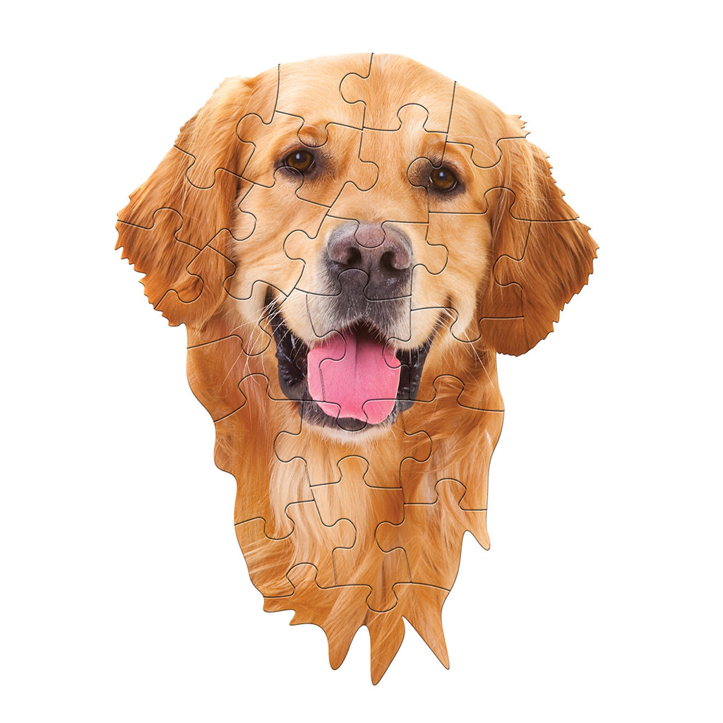 I AM DOG 24 – Madd Capp Games