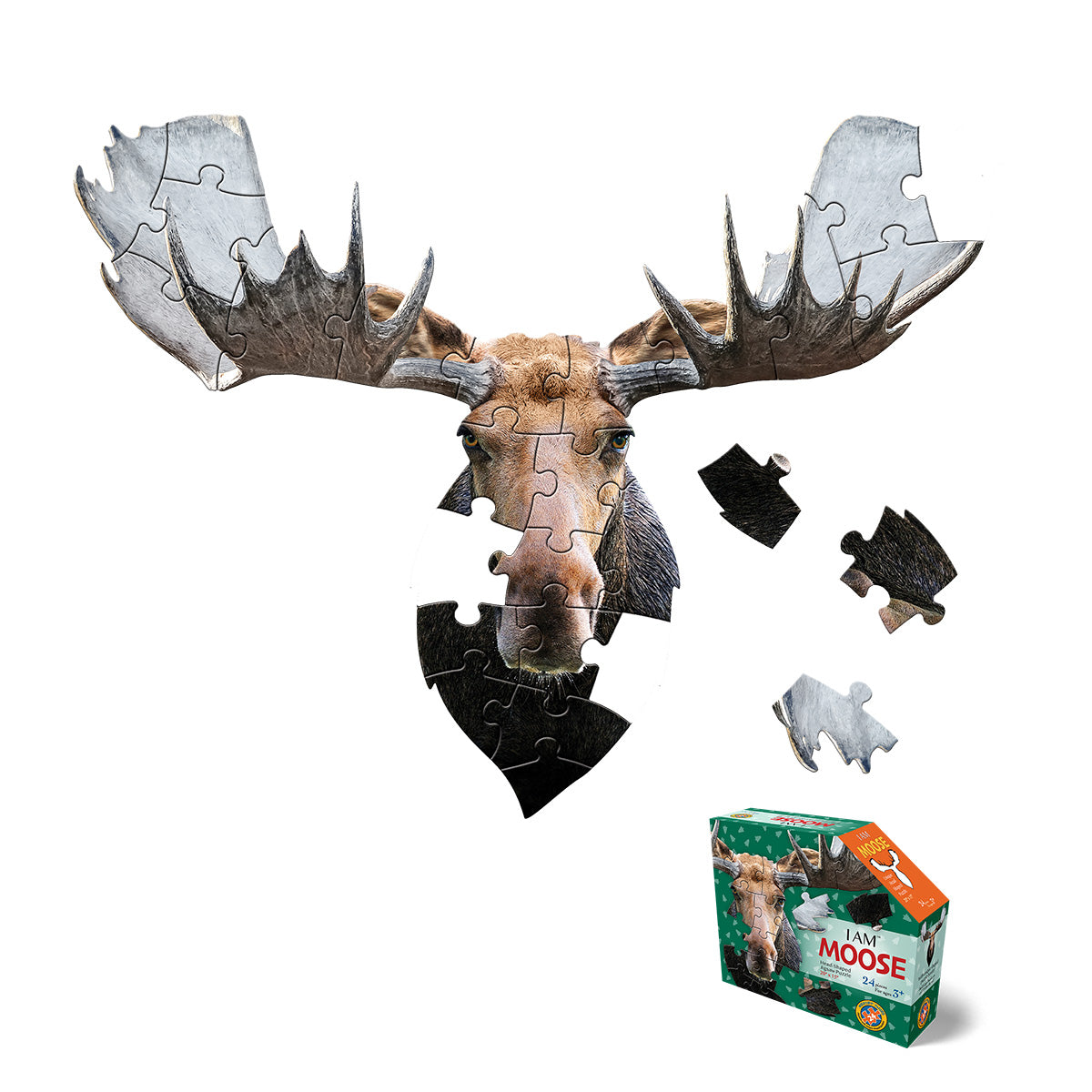I AM MOOSE 24 – Madd Capp Games