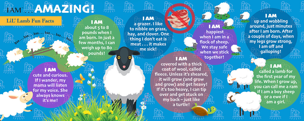 I AM LiL' LAMB 48 – Madd Capp Games