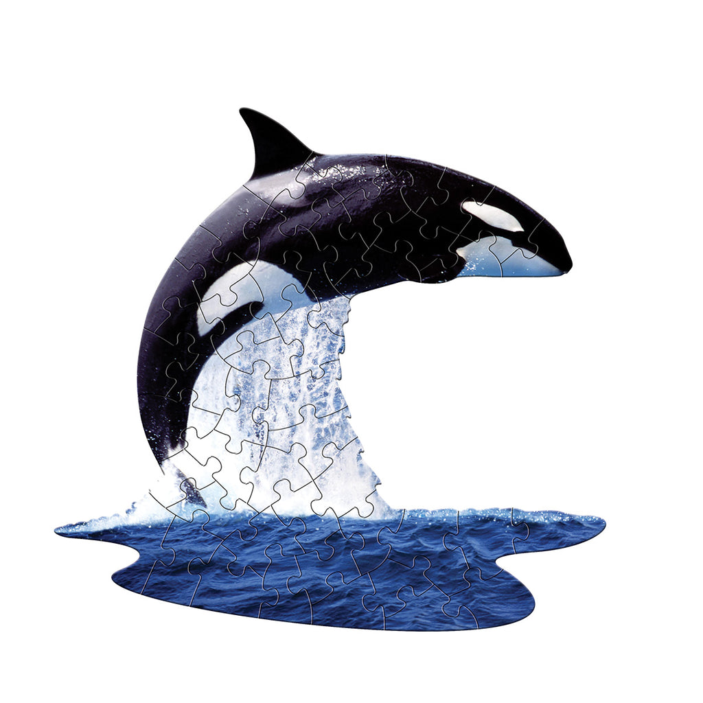 I AM LiL' ORCA 48 – Madd Capp Games