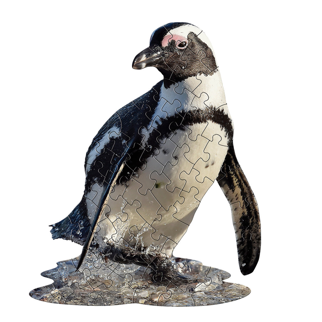 I AM LiL' PENGUIN 48 – Madd Capp Games