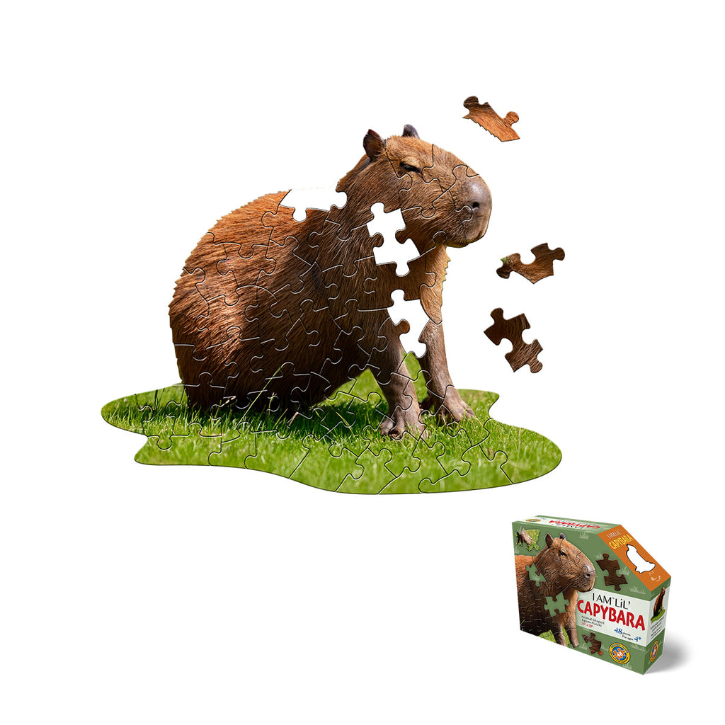 I AM LiL' CAPYBARA 48