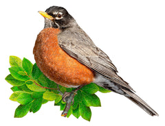 I AM ROBIN 300 – Madd Capp Games