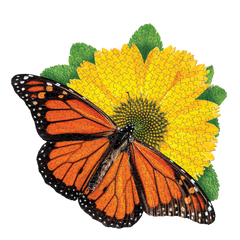 I AM BUTTERFLY 300 – Madd Capp Games