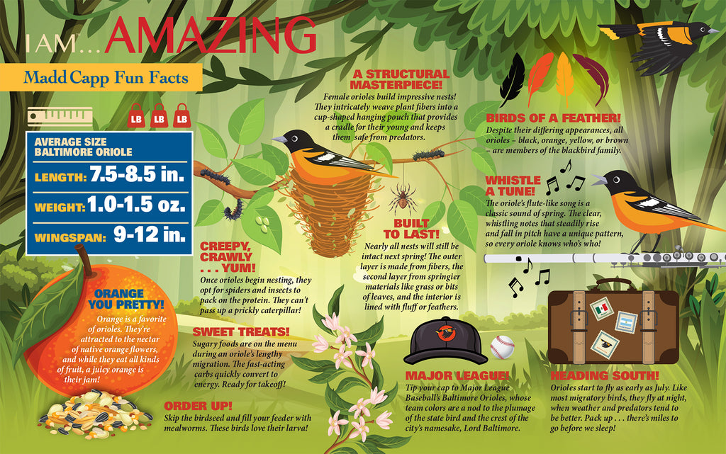 I AM ORIOLE 300 – Madd Capp Games