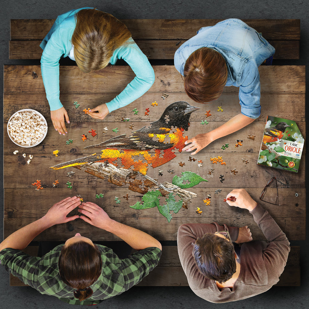 I AM ORIOLE 300 – Madd Capp Games