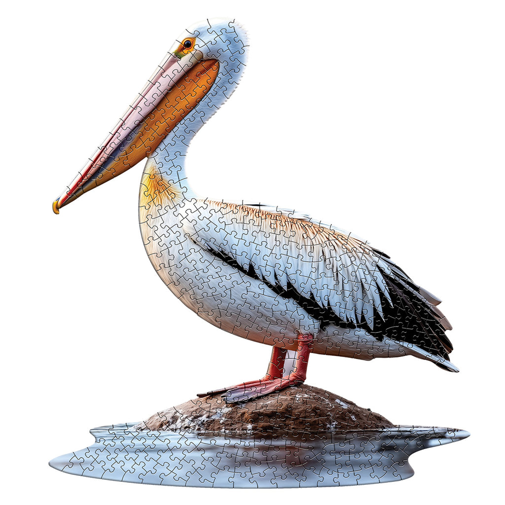 I AM PELICAN 300