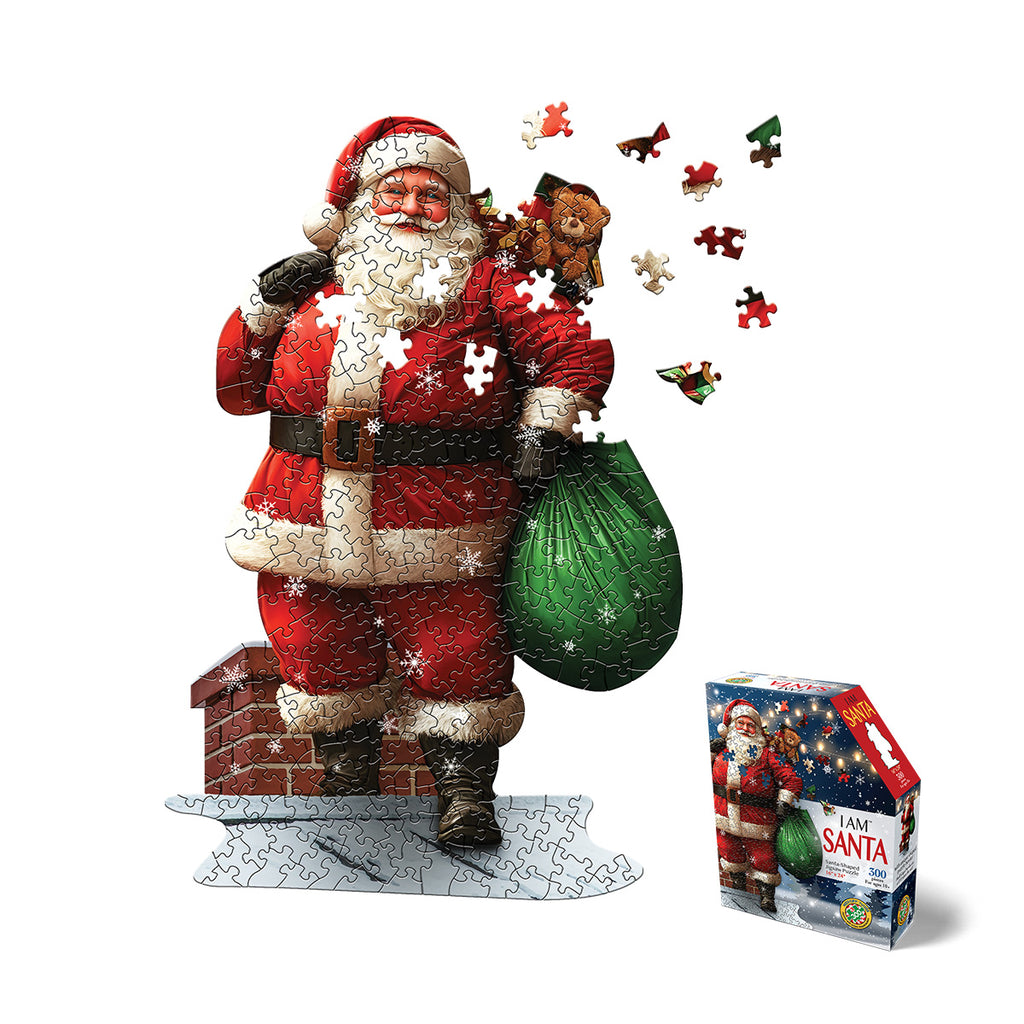 I AM SANTA 300