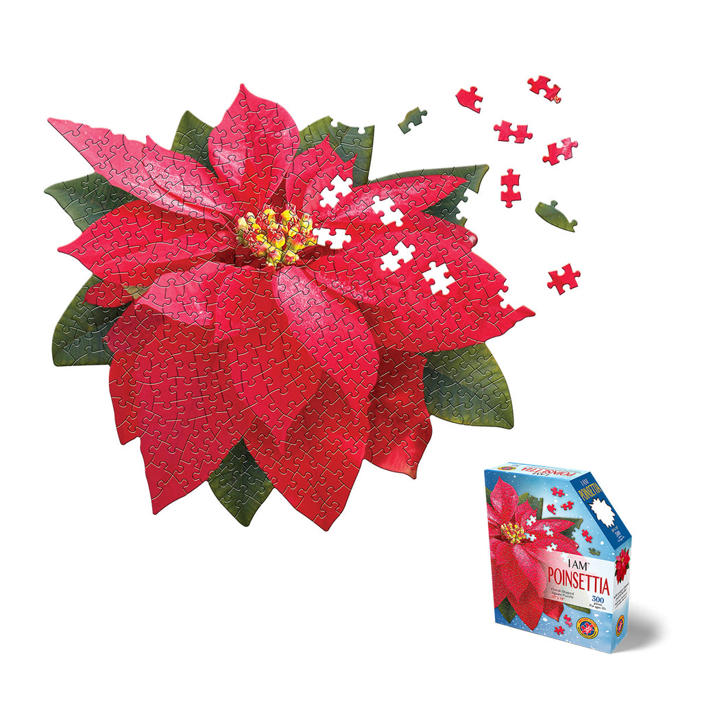 I AM POINSETTIA 300