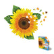 Sticky Image