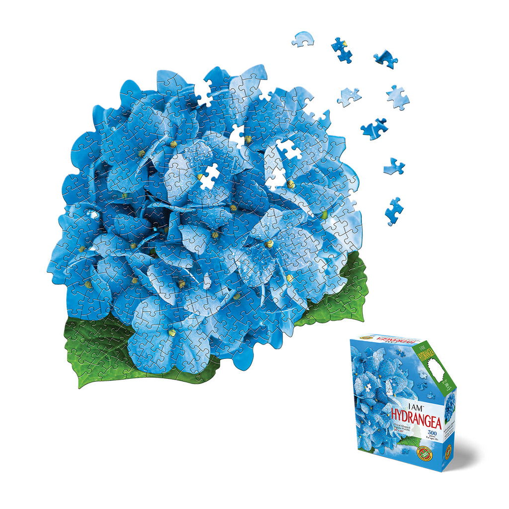 I AM HYDRANGEA 300