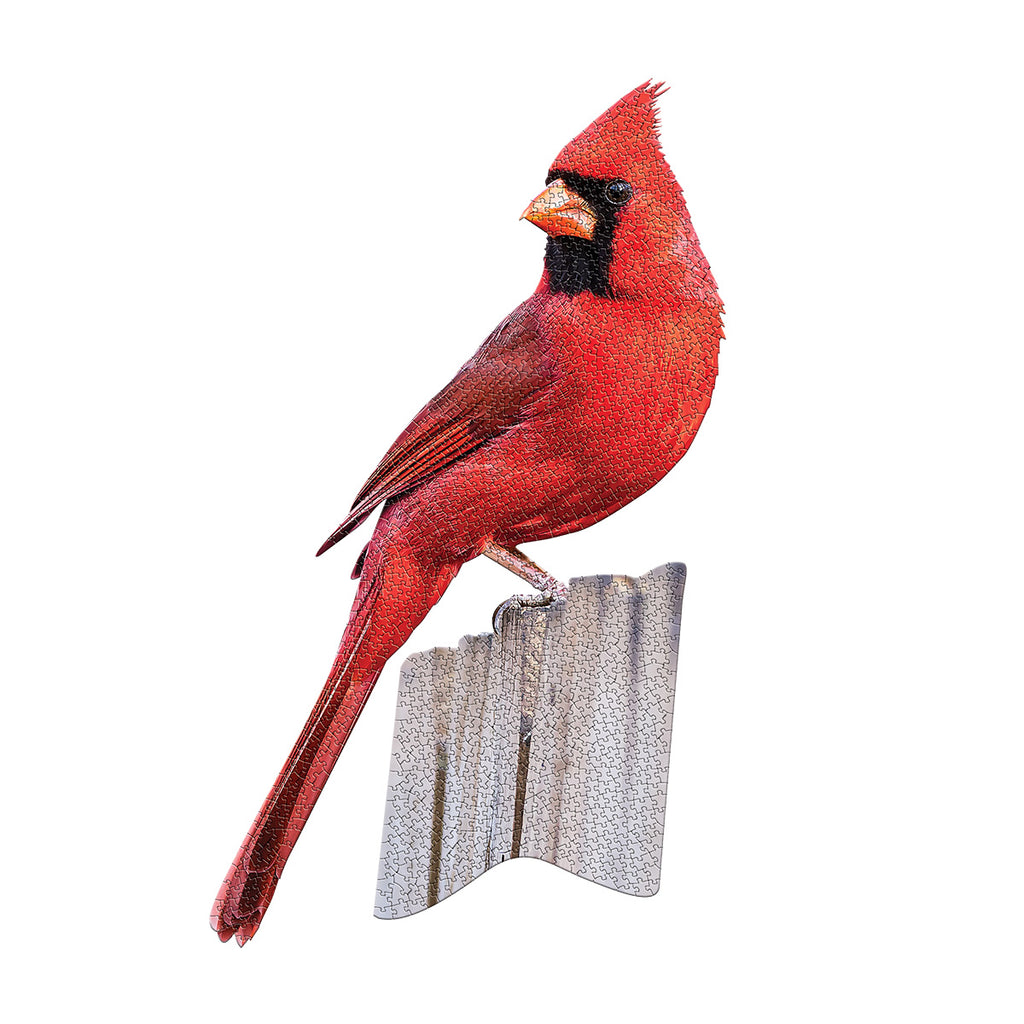 I AM CARDINAL 1000 – Madd Capp Games