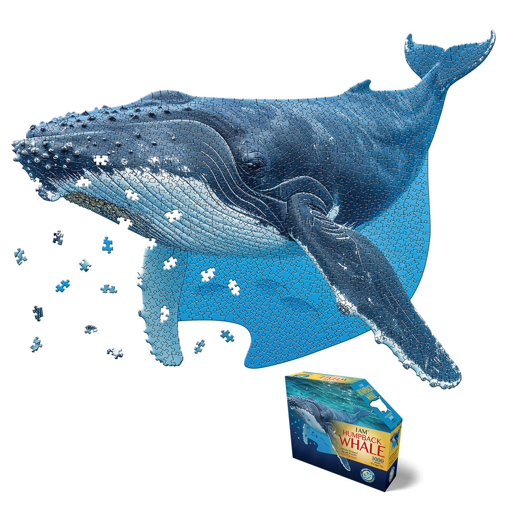 I AM HUMPBACK WHALE 1000