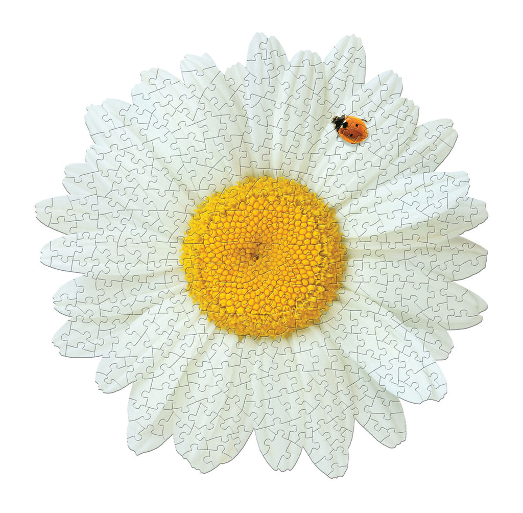 I AM DAISY 350 – Madd Capp Games