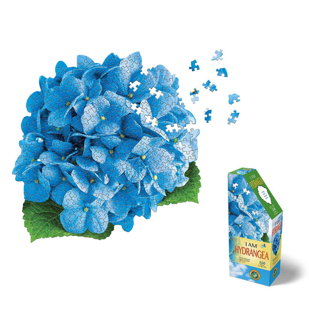 I AM HYDRANGEA 350