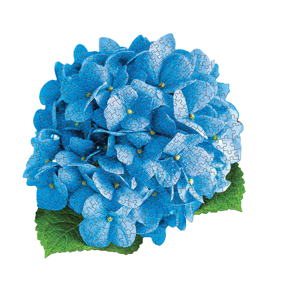 I AM HYDRANGEA 350 – Madd Capp Games