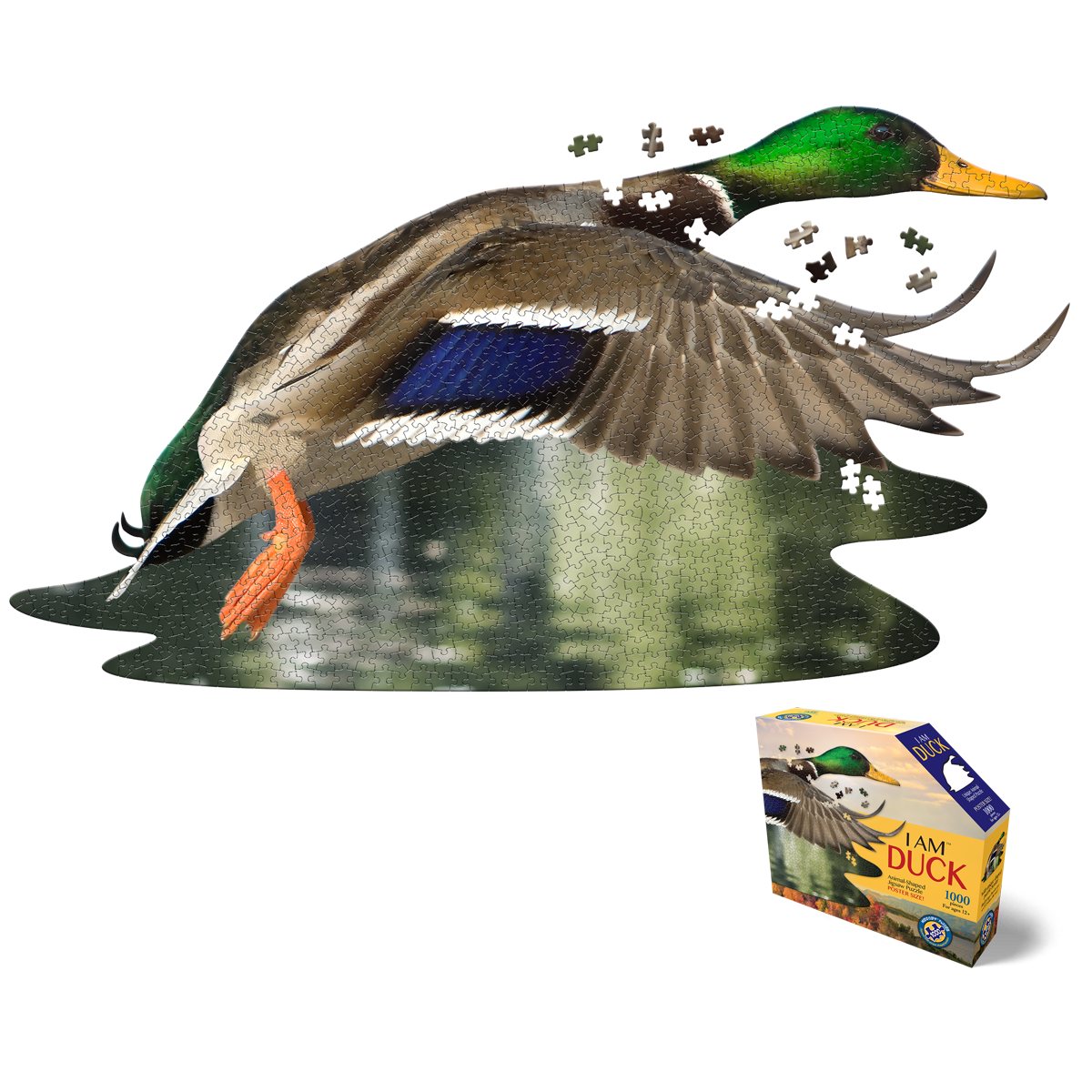 I AM DUCK 1000 – Madd Capp Games