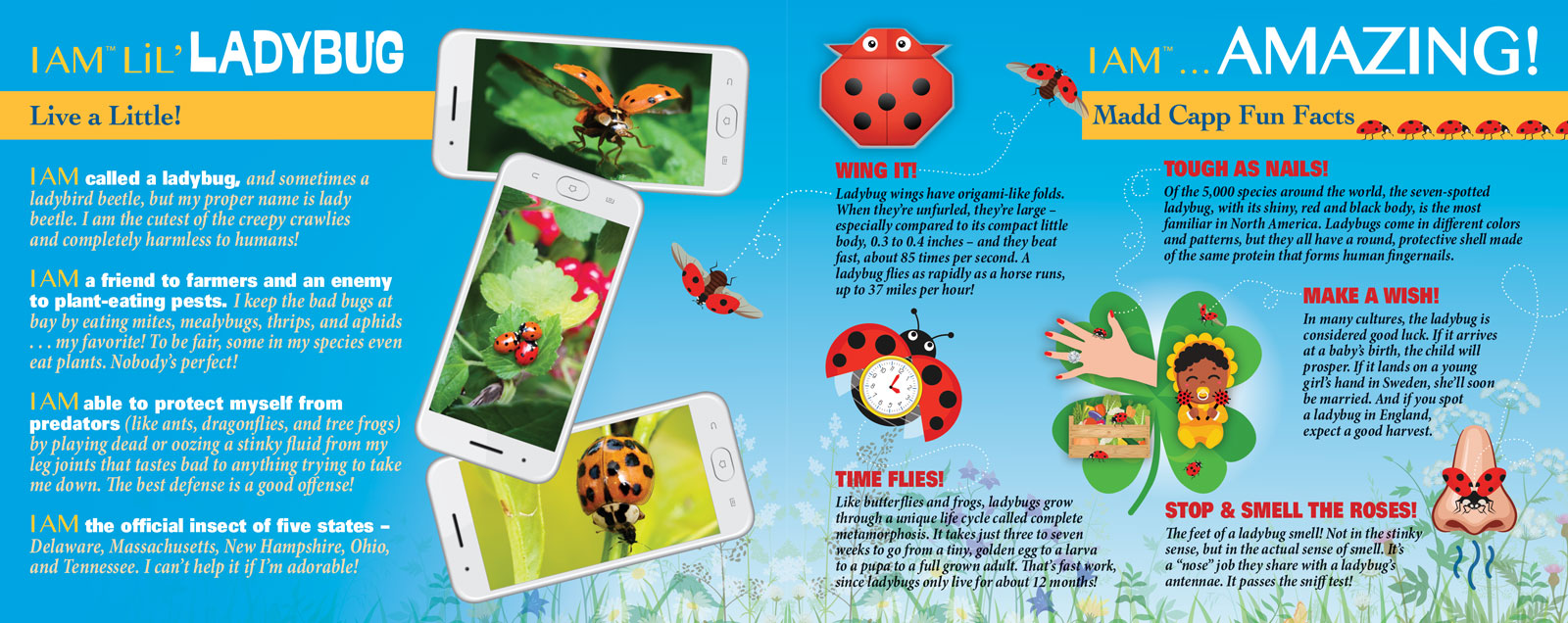 I AM LiL' LADYBUG 100 – Madd Capp Games