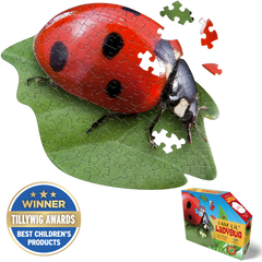 I AM LiL' LADYBUG 100 – Madd Capp Games