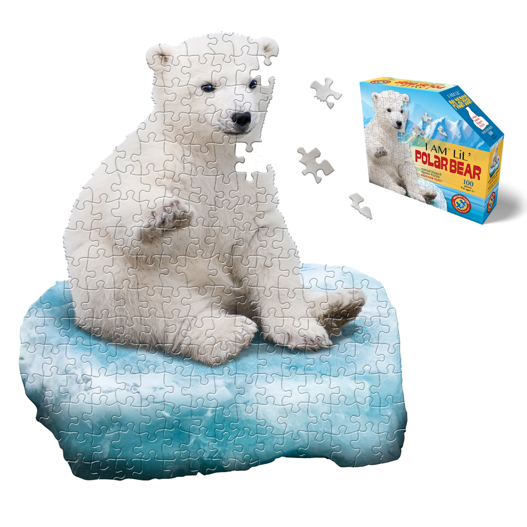 dice riddle polar bear and fishing I AM LiL' POLAR BEAR 100