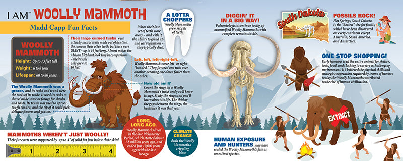 Woolly Mammoth Fact Sheet