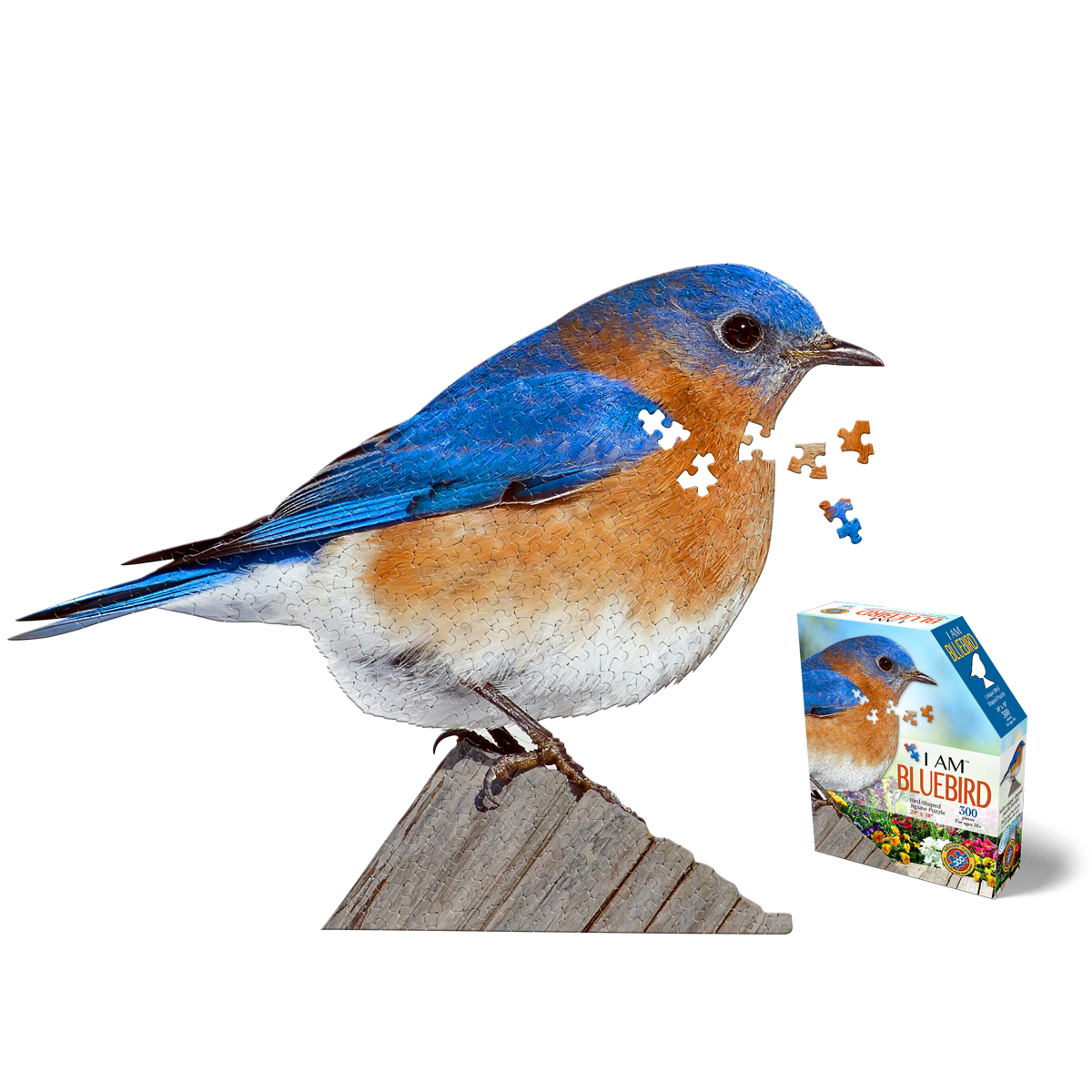 I AM BLUEBIRD 300 – Madd Capp Games I AM BLUEBIRD 300 – Madd Capp Games