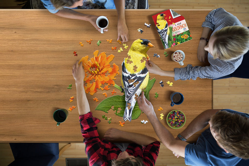 I AM GOLDFINCH 300 – Madd Capp Games