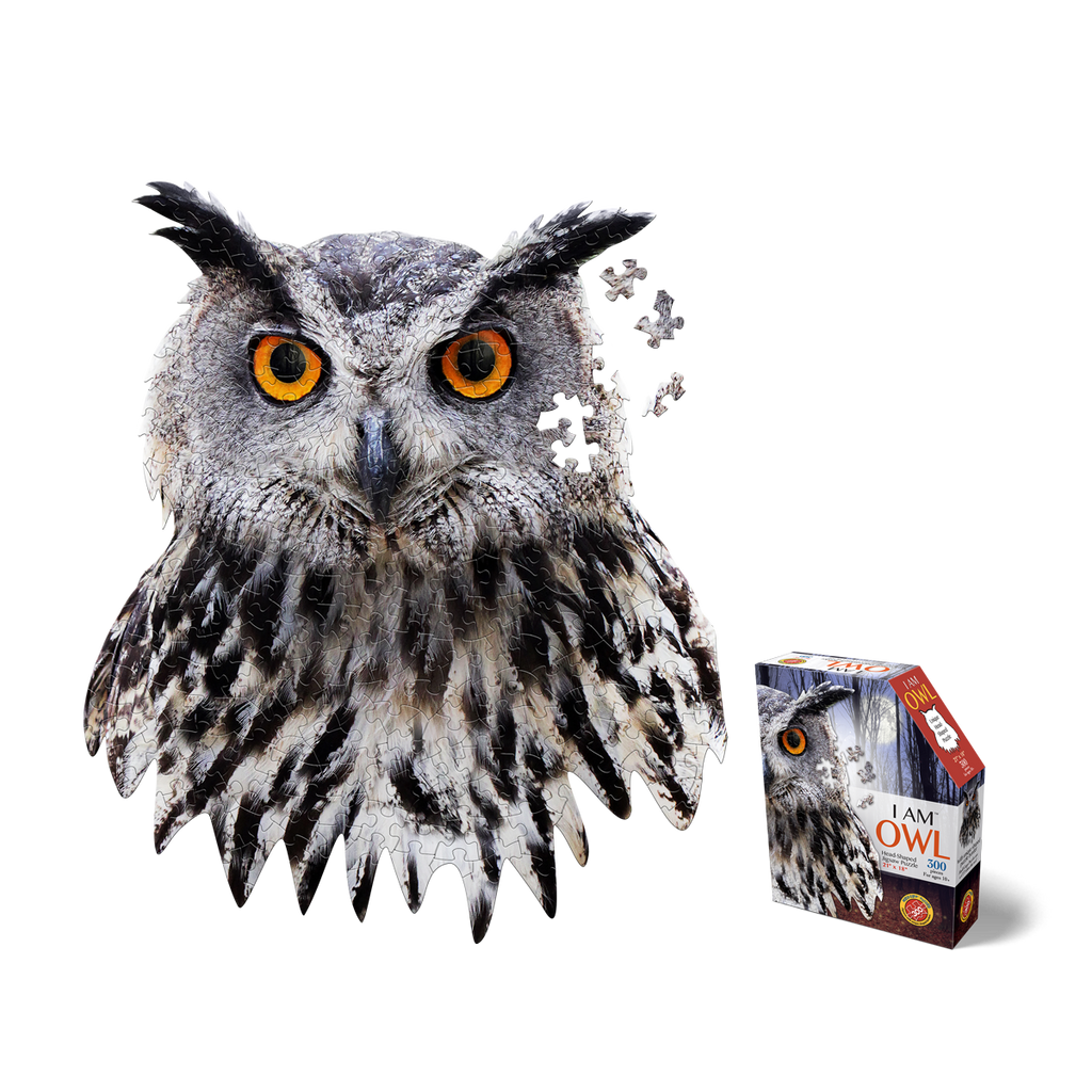 I AM OWL 300