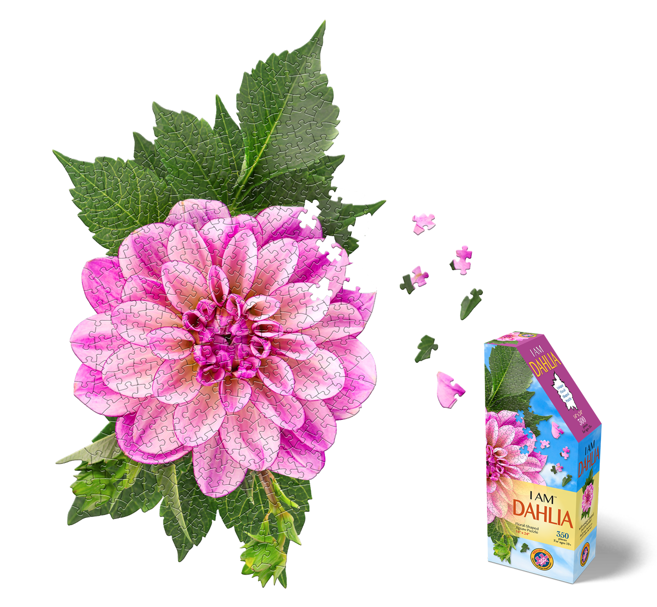 350DahliaCatalogImage_1298x.