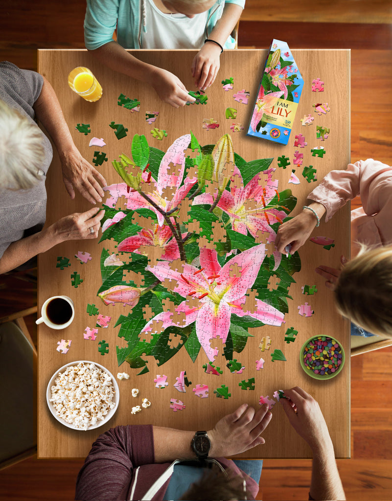 I AM LILY 350 – Madd Capp Games