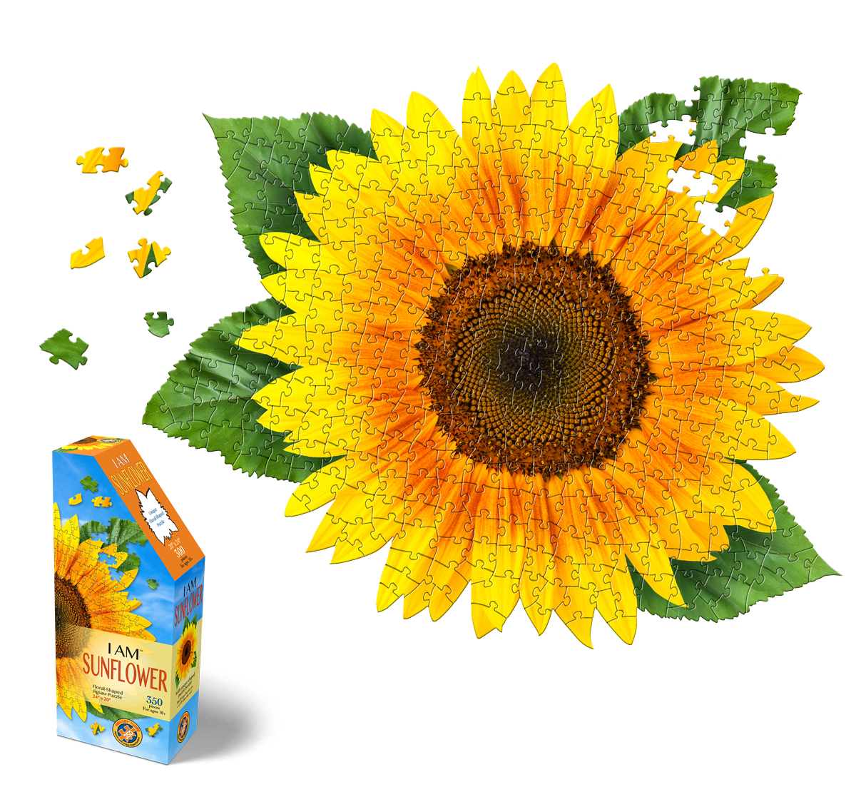 350SunflowerCatalogImage_1200x 350SunflowerCatalogImage_1200x