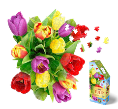 I AM TULIP 350 – Madd Capp Games